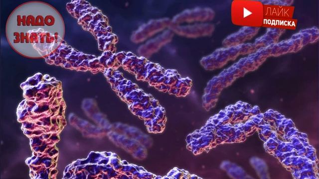 Почему человек стареет?