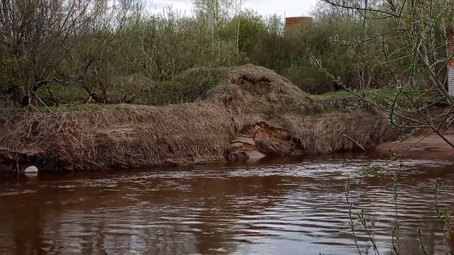 Яжелбицы, Полометь, плиты 30 апреля 2023 года смотреть онлайн