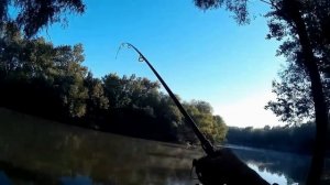 Ловля сазана на макушатник. Карась и подлещик на донки.