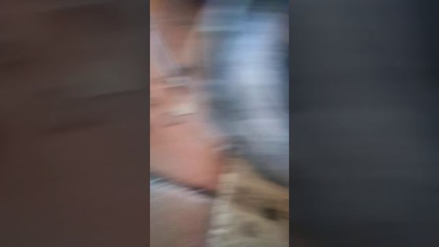 Лёгкий способ снять крыльчатку, на бензопиле урал 2 электорон и подобных ей. смотреть онлайн