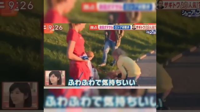 САМАЯ ЗНАМЕНИТАЯ СОБАКА В МИРЕ ПО ИМЕНИ МАСАРУ (АКИТА_ИНУ) 秋田犬 ザギトワ選手（１６） смотреть онлайн