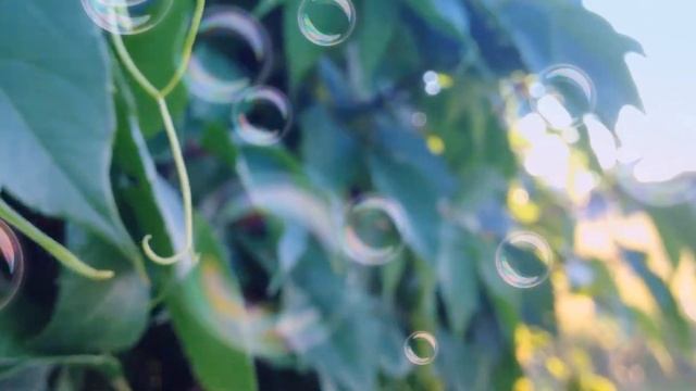 Природа красоты смотреть онлайн