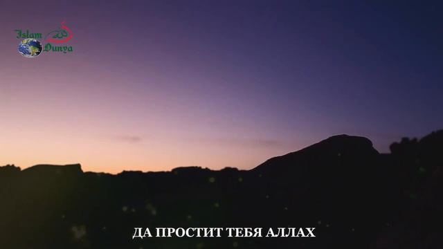 сын Умар и Бедуин-интересный случай смотреть онлайн