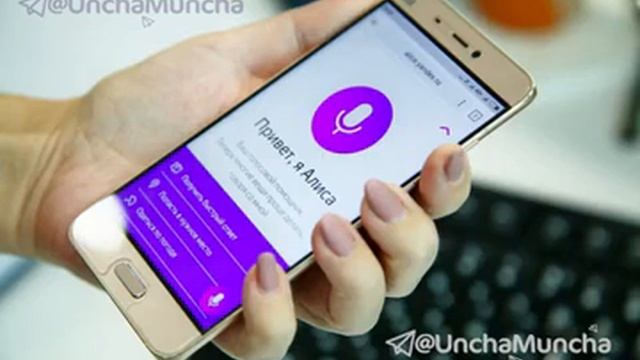 Алиса почему мусульмане не отмечают новый год смотреть онлайн