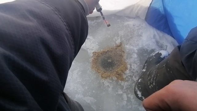 ЛОВЛЯ УКЛЕЙКИ, ВЕРХОВКИ. ЭТА РЫБА не РВЕТ ЛЕСКУ, ЛОВЛЯ "ГОРОДСКИХ МОНСТРОВ" смотреть онлайн