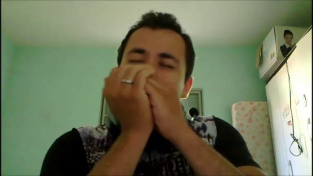 Solo Gaita - Hohner marine band C смотреть онлайн