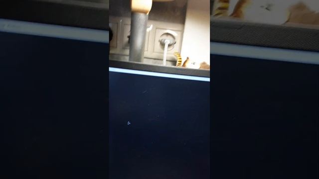 Если меня кикнет из роблокса это видео закончится смотреть онлайн