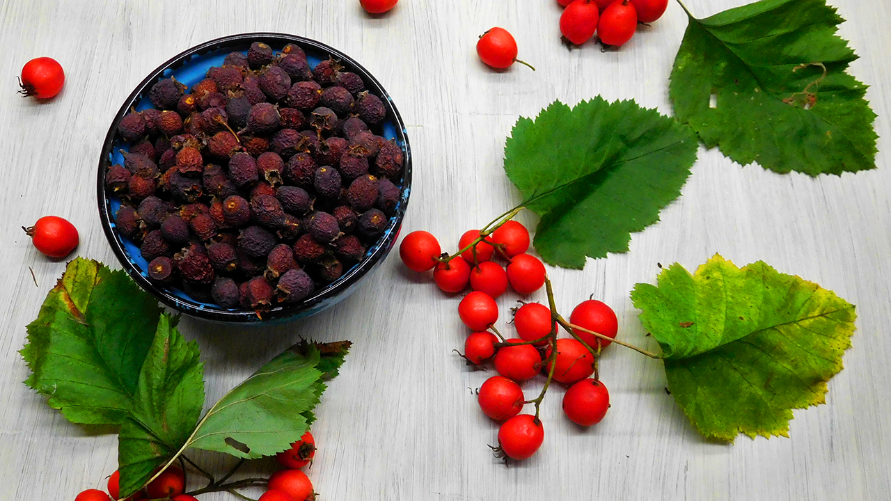 Как сушить боярышник в домашних условиях смотреть онлайн