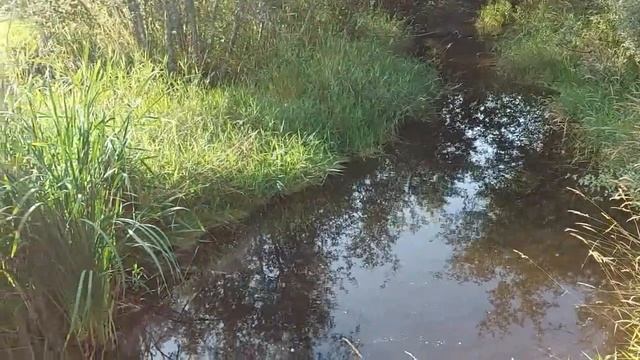 98.Классика пианино.Sad-piano-calm смотреть онлайн