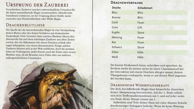 Baldurs Gate 3 Patch 6 Vorschau | Neue Klasse - Zauberer Guide смотреть онлайн
