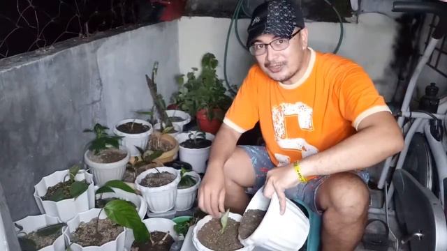 February 8, 2021 SCALPRUM UPDATE From vlog2/REPOTTING! NABUHAY KAYA LAHAT? vlog6 смотреть онлайн