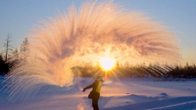 Волки в овечьих шкурах