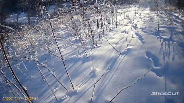 Алтайский край. Солонешенский район. Река Баблайка и лог Дощиной. смотреть онлайн