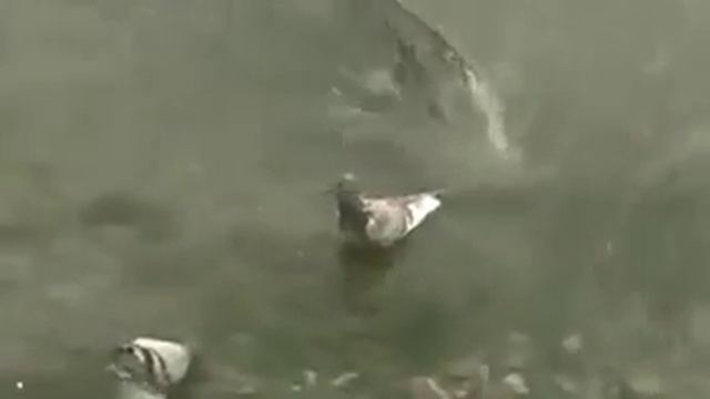 vova 39 смотреть онлайн