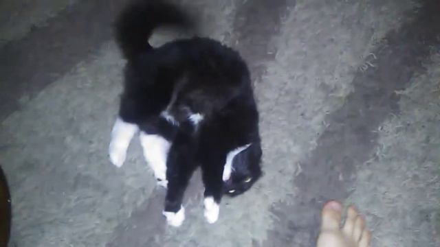 Мой кАтяра МОНСТЕР ОТРЫЖКИ ХЫ... смотреть онлайн