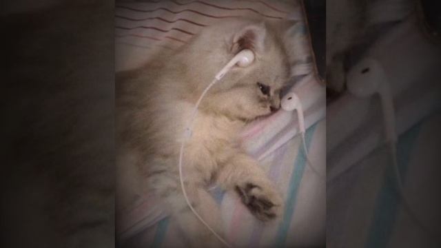 INSTASAMKA Отключаю телефон speed up смотреть онлайн