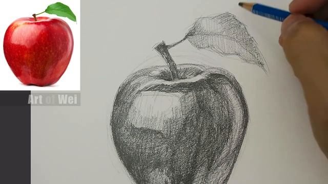 Drawing and Shading an Apple смотреть онлайн