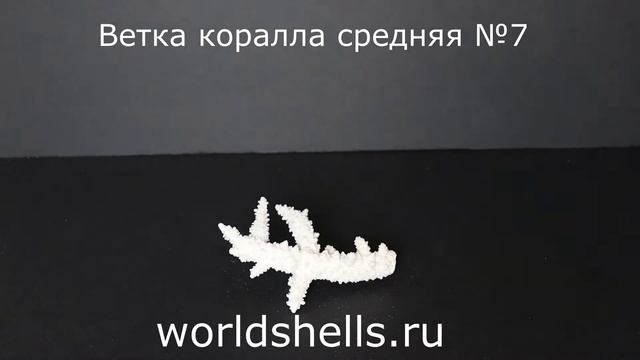 Ветка коралла средняя №7 смотреть онлайн