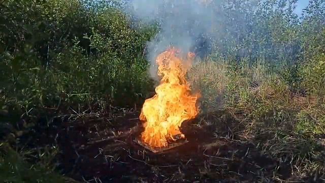 Эксперимент Попкорн на спичках! Experiment Popcorn on the matches! смотреть онлайн