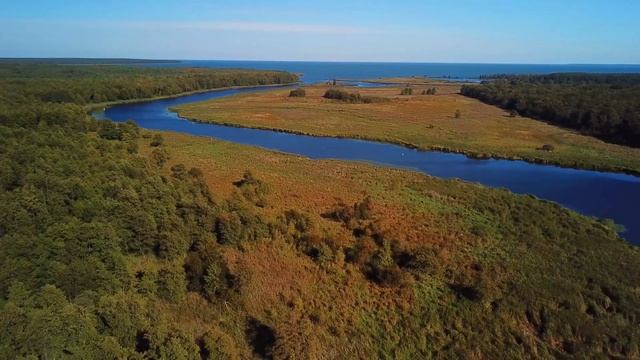 4K. Река Тростянка (Устье). Зеленоградск. Калининградская область. смотреть онлайн