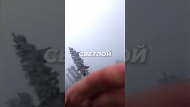 Всех с Великим праздником! — Светлой Пасхой ?✨@yaroslawolkov #prostoyar #гвоздетерапия #гвозди смотреть онлайн