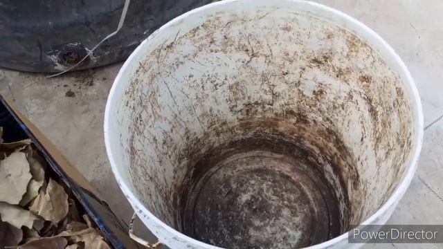 Leaf compost making in Tamil।।Uses of dry leaves in garden смотреть онлайн