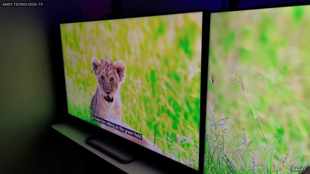 TCL C825 vs C725: Mini LED vs Direct LED ¿Tienen HDMI 2.1 y Dolby Vision? смотреть онлайн