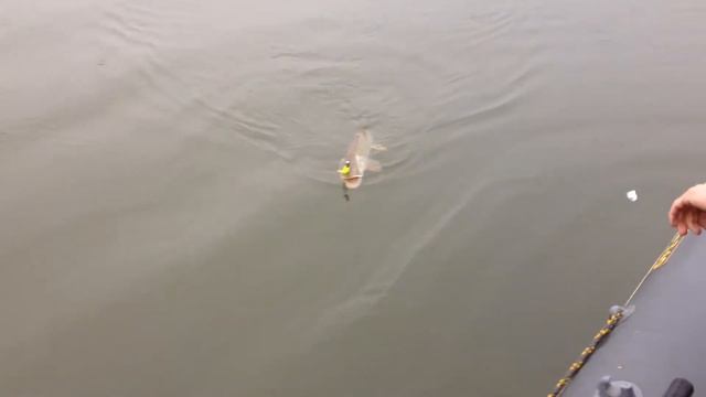 Щучка поздней осенью на реке Тобол смотреть онлайн