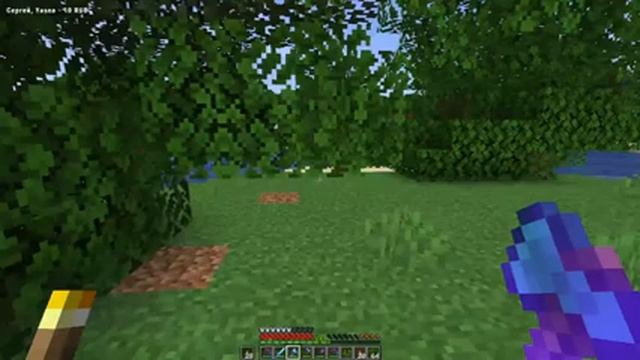 БЕСПЛАТНЫЙ ПРИВАТНЫЙ ВАНИЛЬНЫЙ СЕРВЕР ! Идет набор ! Minecraft 1.19 ВП смотреть онлайн