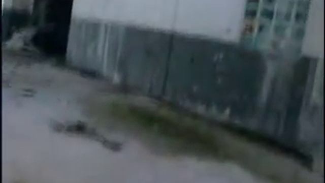ГСВГ Фюрстенберг, часть 2 смотреть онлайн