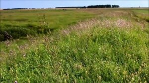 Русское поле. Видеоклип