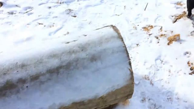 СОБАК - ПАК смотреть онлайн