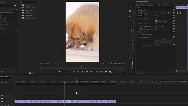 Premiere Pro Auto Reframe - AMAZING NEW FEATURE! Convert Horizontal to Vertical FAST смотреть онлайн