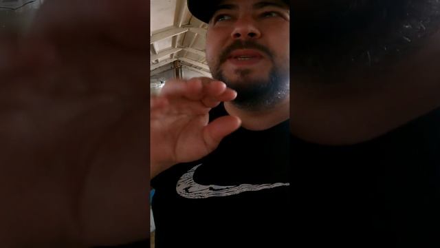 Температура воды у рыб ? смотреть онлайн