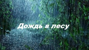 Звук проливного дождя с мощными звуками грома в тропическом лесу ночью.