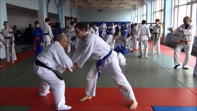 Бушинкан Эстония Мамедов Сейран 75 лет