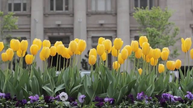 День города. 26 сентября 2020 года Краснодару 227 лет смотреть онлайн