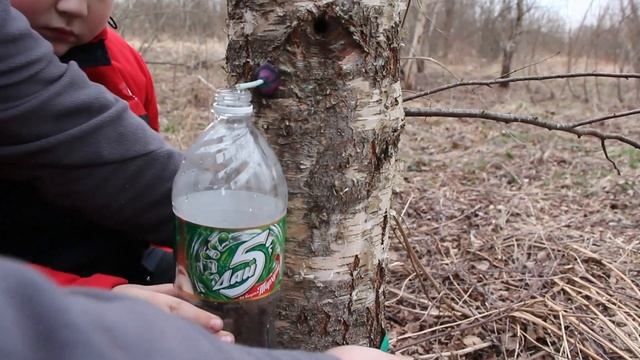 Прощаемся с мусором, наводим порядок у себя на участке.Березовый сок. смотреть онлайн