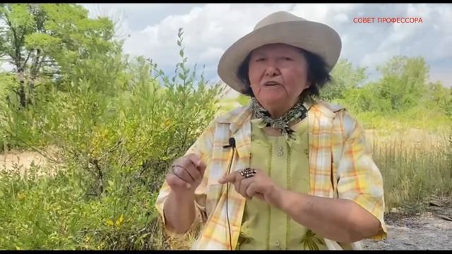 Как наладить отношения с взрослыми детьми смотреть онлайн