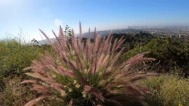 Griffith Park Hiking trails Los Angeles смотреть онлайн