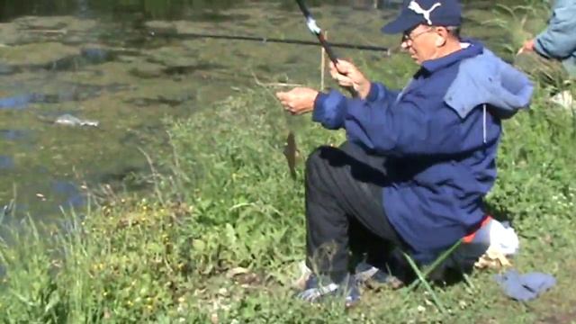 Рыбалка летом: на карася с берега .mpg смотреть онлайн