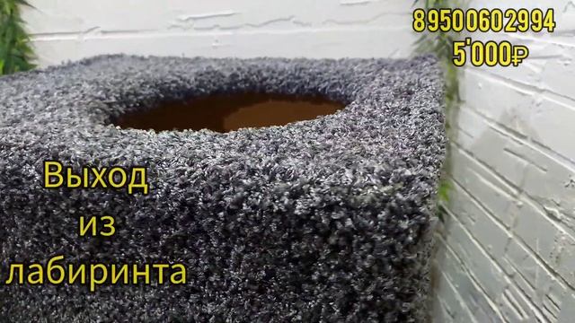 Лабиринт для кошек смотреть онлайн