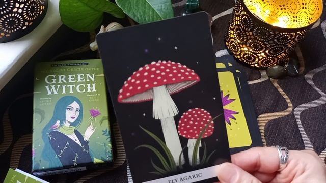 THE SECRET ORACLE OF THE GREEN WITCH?Review|Walk-through #oraclecards #greenwitch @usgamessystems смотреть онлайн