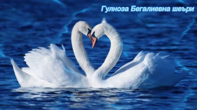 Гулноза Бегалиевна шеъри смотреть онлайн