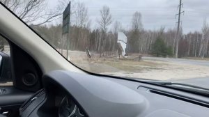 ЧТО ПРЯТАЛИ ЖИТЕЛИ ПРИПЯТИ ? ИЩЕМ ТАЙНИКИ с металлоискателем !!