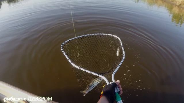 ИЮНЬ 2018 - часть 3, ловля судака в МОШКУ (троллинг в один спиннинг) тест спиннингов ДЖЕРК завершё смотреть онлайн