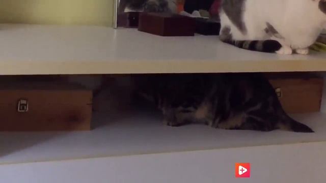 ВЛОГ?РУГАЮСЬ С ДОЧКОЙ? УЖ@СЫ МОЕГО ДОМА?РЕАЛЬНАЯ ЖИЗНЬ смотреть онлайн