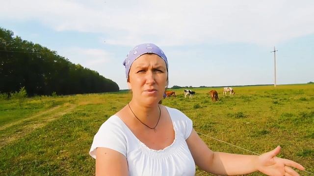 НИКОГДА НЕ БУДУ КОСИТЬ..!БОЛЬШЕ ВСЕГО ДЕНЕГ УХОДИТ НА ПОКУПКУ КОРМОВ.ЧЕМ КОРМИТЬ КОРОВУ?НАШЕ СЕНО смотреть онлайн