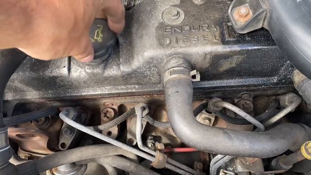 Разборка Ford - Transit Connect 2002-2013, 1.8 (VIN: WF0TXXTTPT3L04042) FT53EXO смотреть онлайн