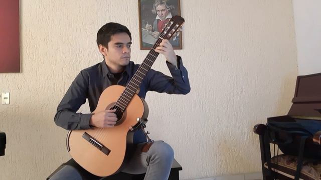 Grande Sonate, op. 22 Minuetto (Fernando Sor) смотреть онлайн